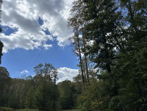 4 Crane School Road Terra Alta WV 26764