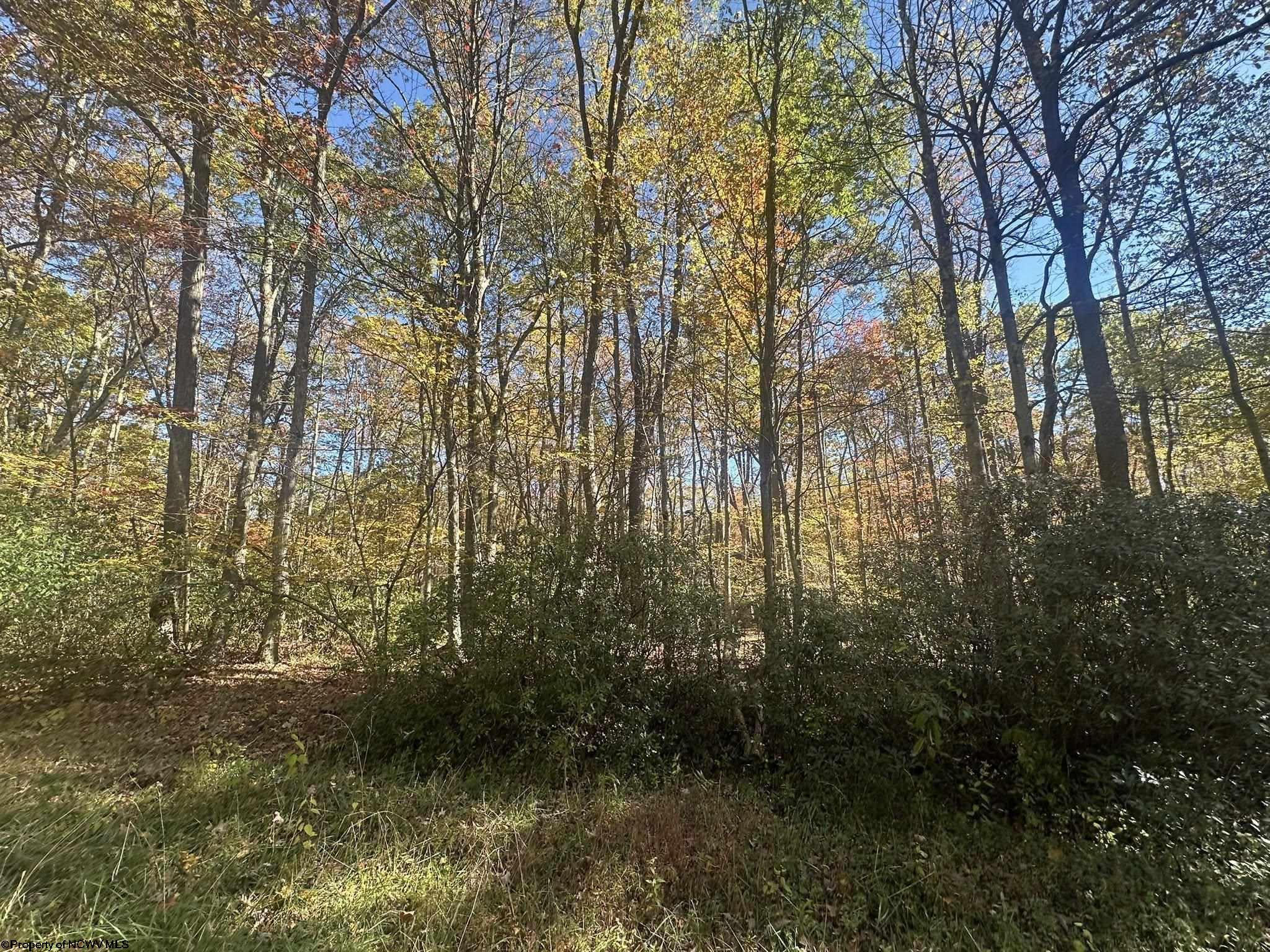 0 Redwood Drive Terra Alta WV 26764