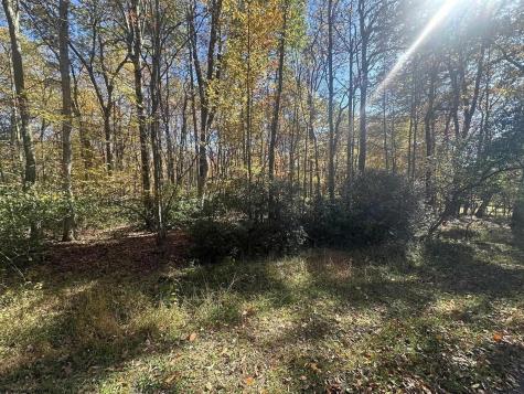 0 Redwood Drive Terra Alta WV 26764