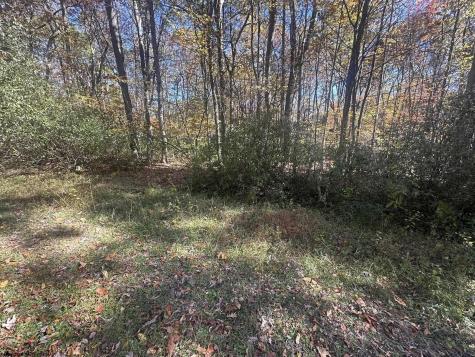 0 Redwood Drive Terra Alta WV 26764
