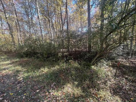 0 Redwood Drive Terra Alta WV 26764