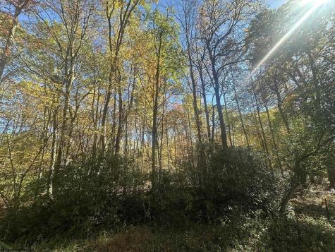 0 Redwood Drive Terra Alta WV 26764