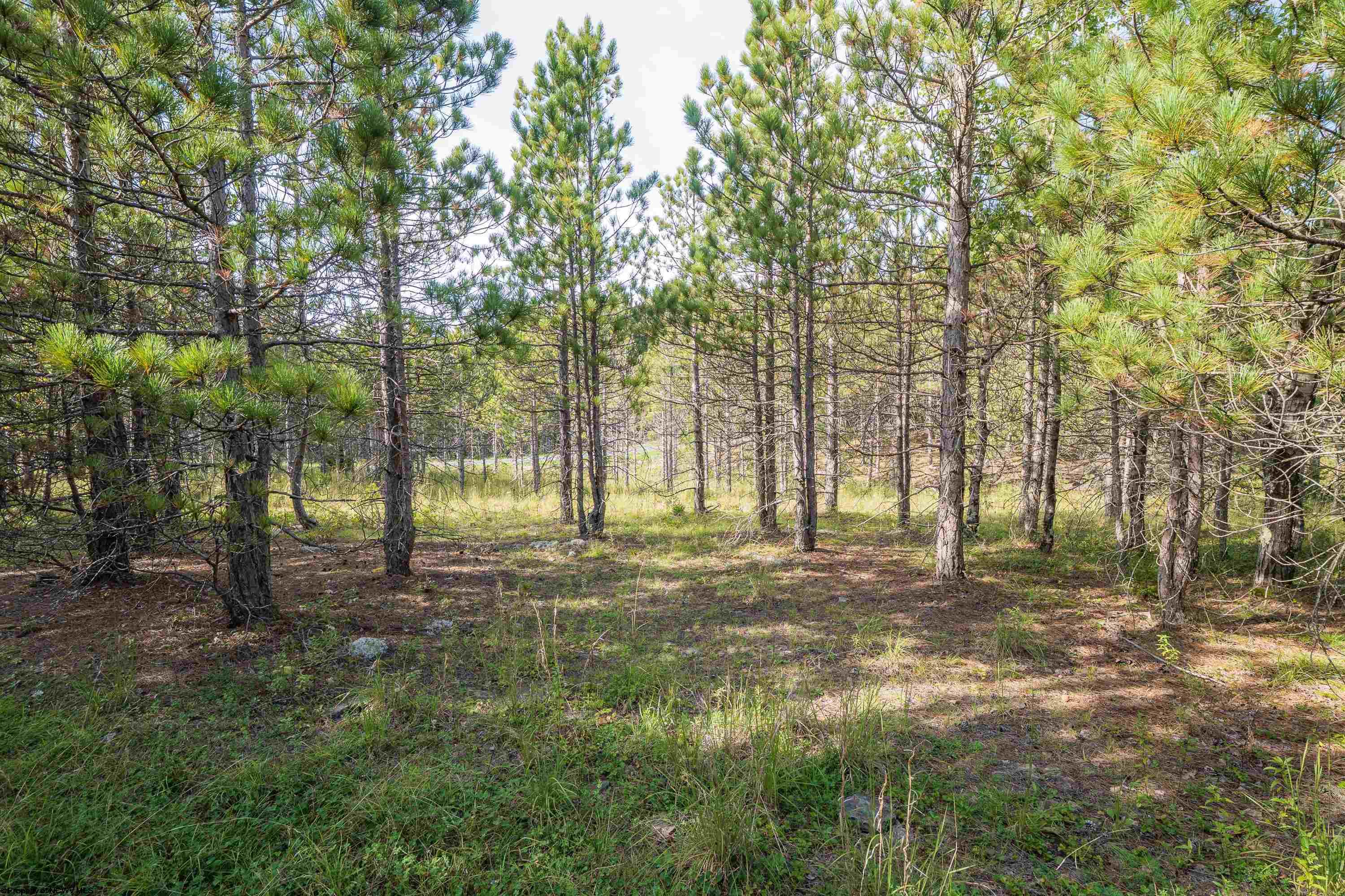 3 Crosscut Way Davis WV 26260
