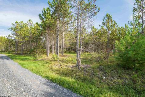 3 Crosscut Way Davis WV 26260