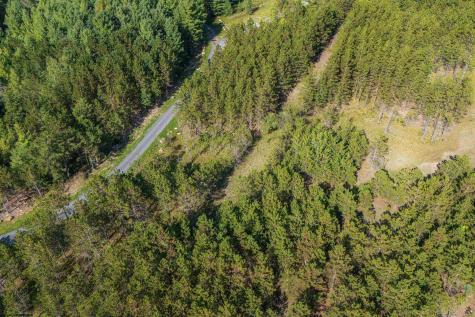 3 Crosscut Way Davis WV 26260