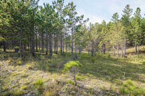 3 Crosscut Way Davis WV 26260