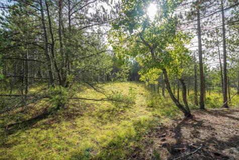 3 Crosscut Way Davis WV 26260