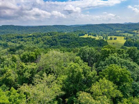 0 Pheasant Ridge Road Bridgeport WV 26330