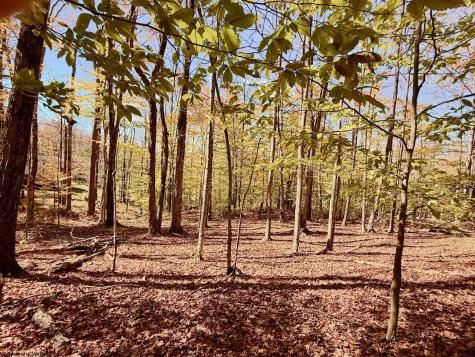 90 Mountainside Road Davis WV 26260-0000