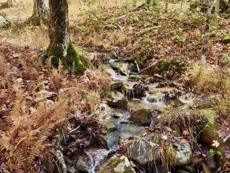 90 Mountainside Road Davis WV 26260-0000
