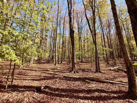 90 Mountainside Road Davis WV 26260-0000