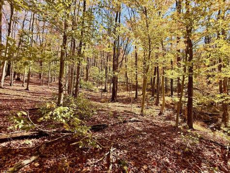 90 Mountainside Road Davis WV 26260-0000