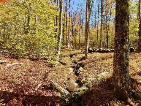 90 Mountainside Road Davis WV 26260-0000