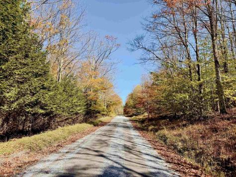 90 Mountainside Road Davis WV 26260-0000