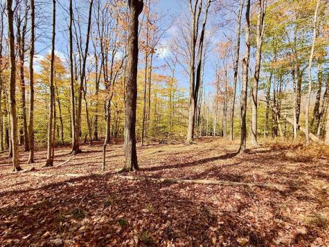90 Mountainside Road Davis WV 26260-0000