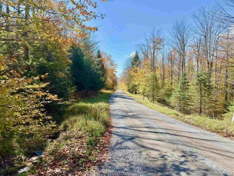 90 Mountainside Road Davis WV 26260-0000