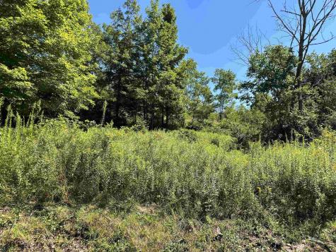 11 Alpenglow Ridge Drive Dryfork WV 26260