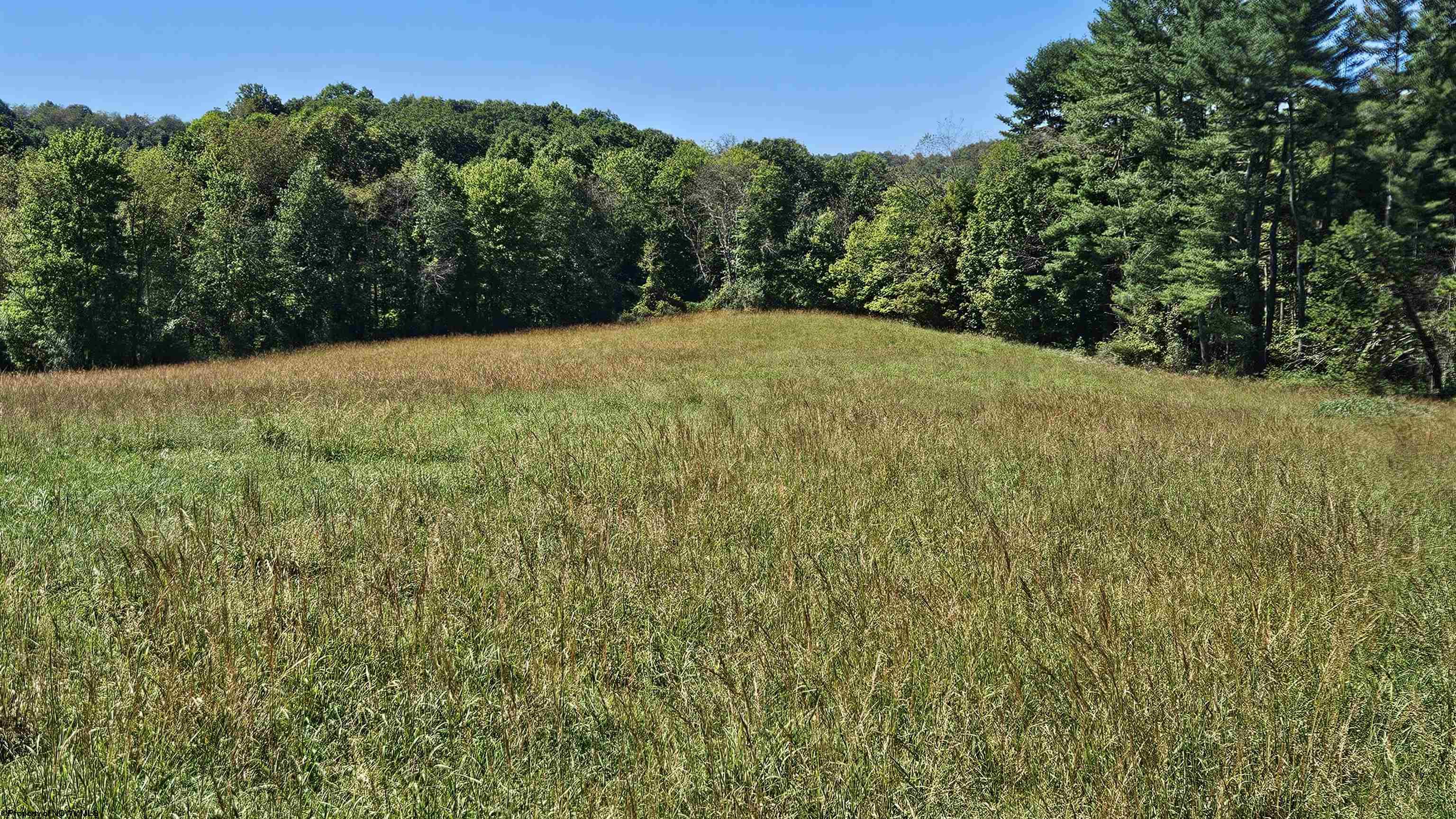 241 Briar Patch Road Philippi WV 26416