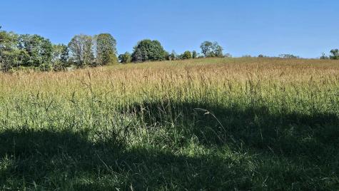 241 Briar Patch Road Philippi WV 26416