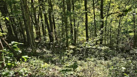 241 Briar Patch Road Philippi WV 26416