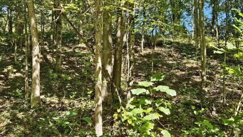 241 Briar Patch Road Philippi WV 26416