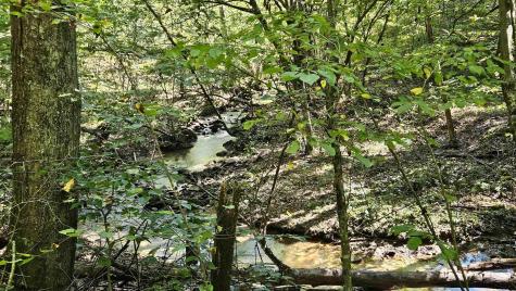 241 Briar Patch Road Philippi WV 26416