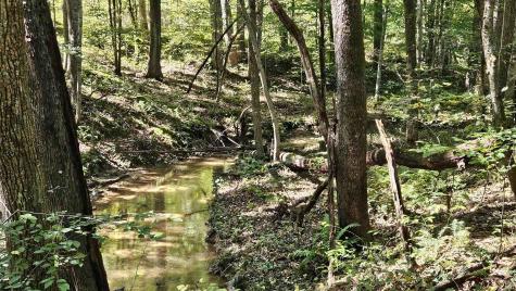 241 Briar Patch Road Philippi WV 26416