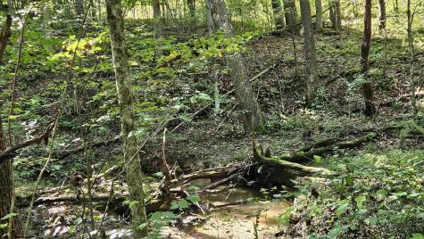 241 Briar Patch Road Philippi WV 26416