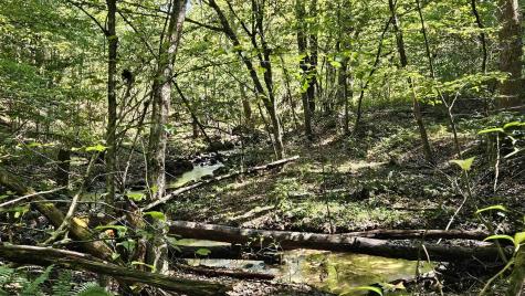 241 Briar Patch Road Philippi WV 26416