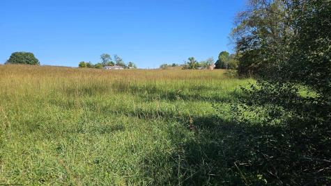 241 Briar Patch Road Philippi WV 26416