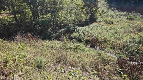 241 Briar Patch Road Philippi WV 26416
