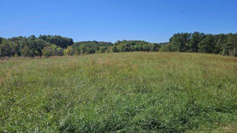 241 Briar Patch Road Philippi WV 26416