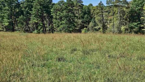 241 Briar Patch Road Philippi WV 26416