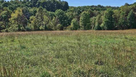 241 Briar Patch Road Philippi WV 26416