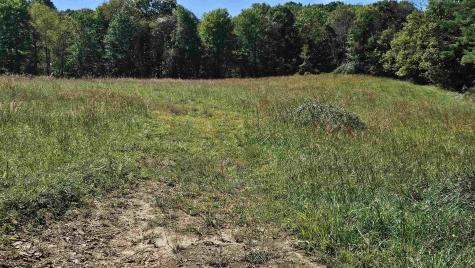 241 Briar Patch Road Philippi WV 26416