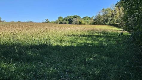 241 Briar Patch Road Philippi WV 26416