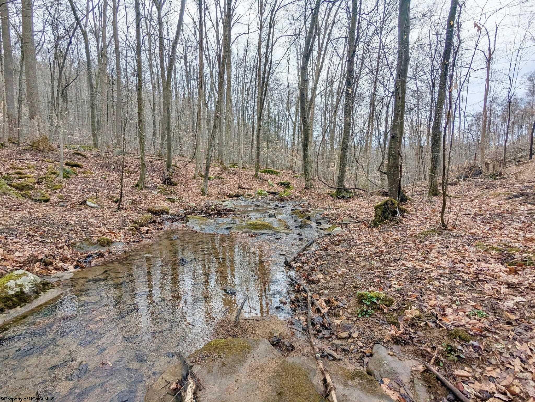 689 Burris Road Bruceton Mills WV 26525