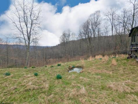 689 Burris Road Bruceton Mills WV 26525