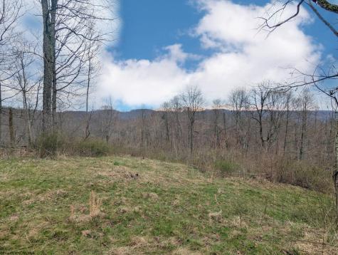 689 Burris Road Bruceton Mills WV 26525
