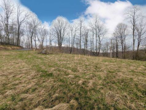 689 Burris Road Bruceton Mills WV 26525
