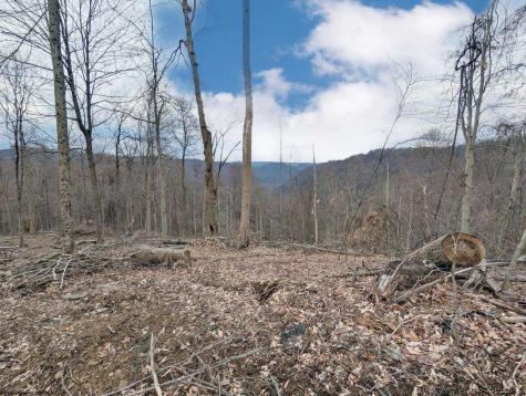 689 Burris Road Bruceton Mills WV 26525