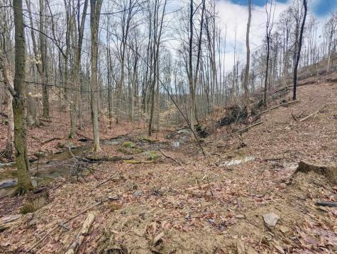 689 Burris Road Bruceton Mills WV 26525