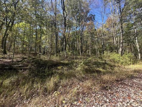 20 Rhododendron Drive Terra Alta WV 26764