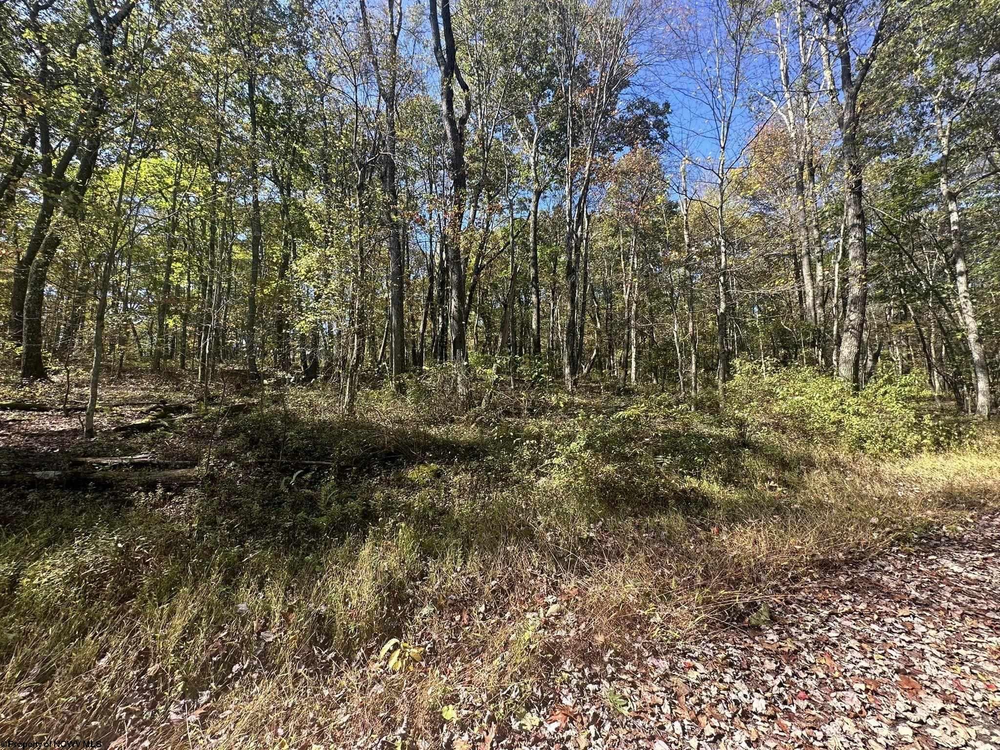 20 Rhododendron Drive Terra Alta WV 26764
