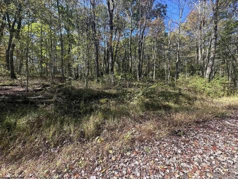 20 Rhododendron Drive Terra Alta WV 26764