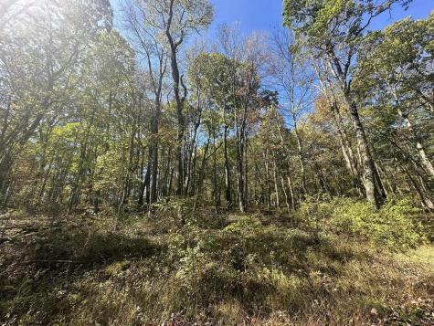 20 Rhododendron Drive Terra Alta WV 26764