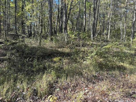 20 Rhododendron Drive Terra Alta WV 26764