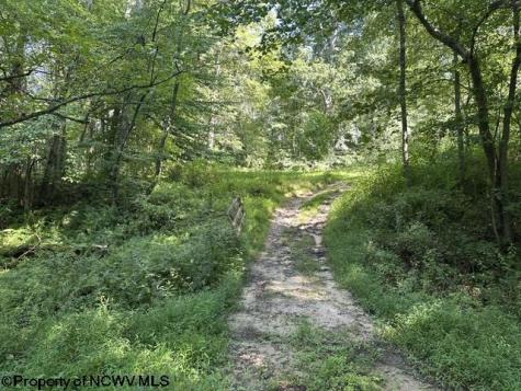 0 Route 19 Highway Lost Creek WV 26385