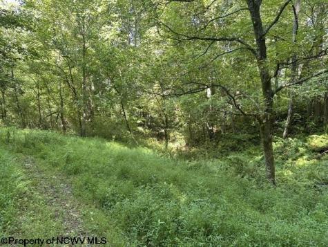 0 Route 19 Highway Lost Creek WV 26385