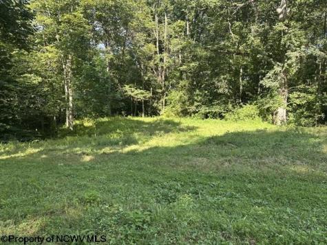 0 Route 19 Highway Lost Creek WV 26385